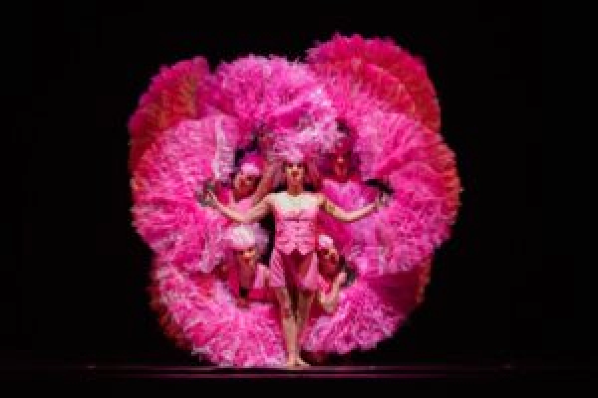 Carnaval der Dieren (4-104)